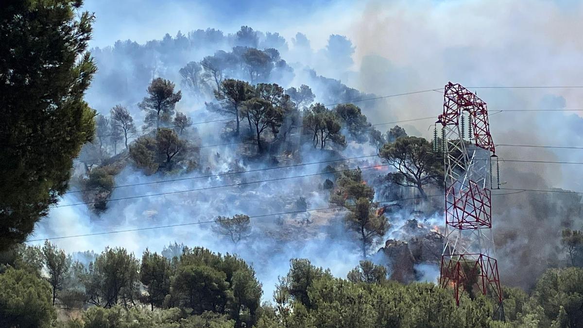 Imagen de Marsella durante un violento incendio forestal