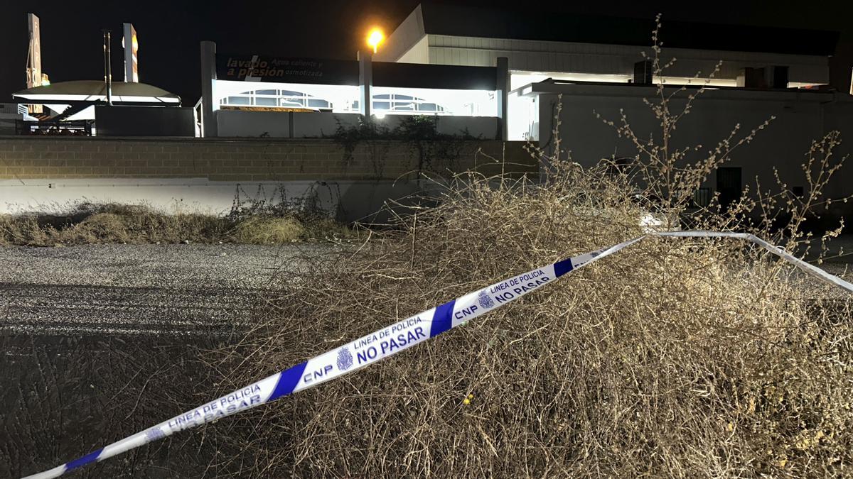 Una mujer ha sido asesinada en Marbella (Málaga) presuntamente a manos de su pareja y agentes de la Policía Nacional ya han detenido este sábado al supuesto autor.