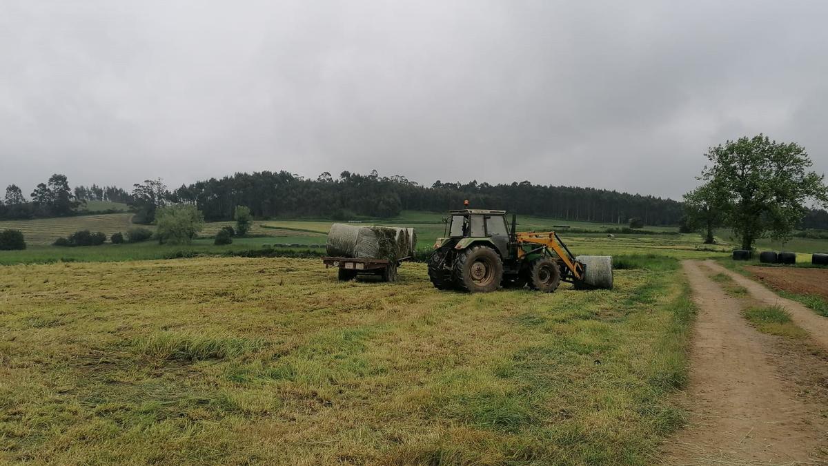 Verde que te quiero verde: la valentía de defender la verdad energética