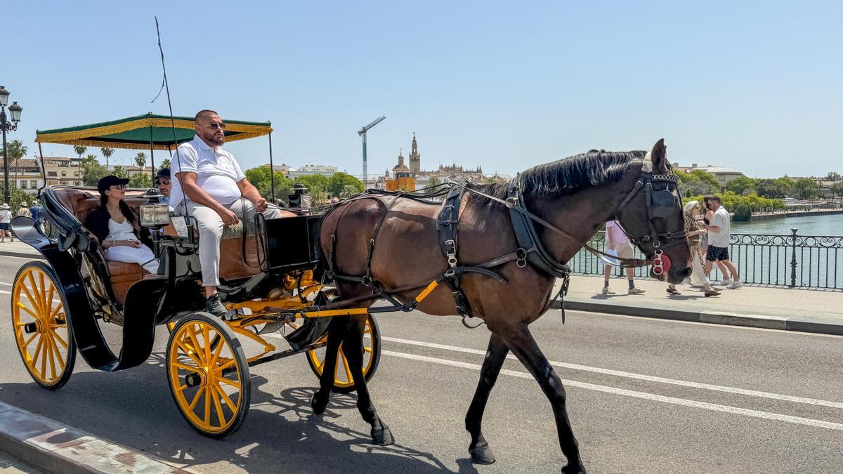 Una pareja de turistas dan un paseo en coche de caballos el pasado sábado en Sevilla.