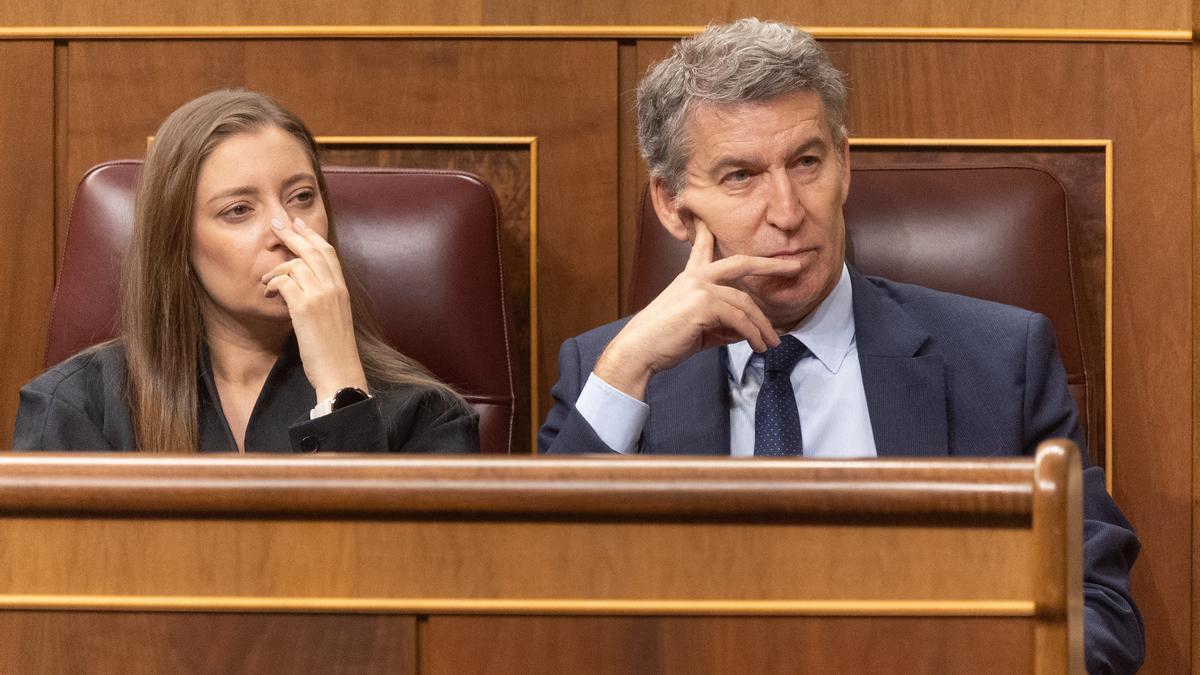 El presidente del PP, Alberto Núñez Feijóo, y la portavoz del PP en el Congreso, Ester Muñoz