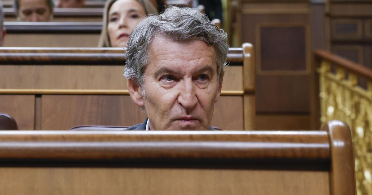 Vox acusa a Feijóo de intentar copiar su discurso en materia de inmigración
