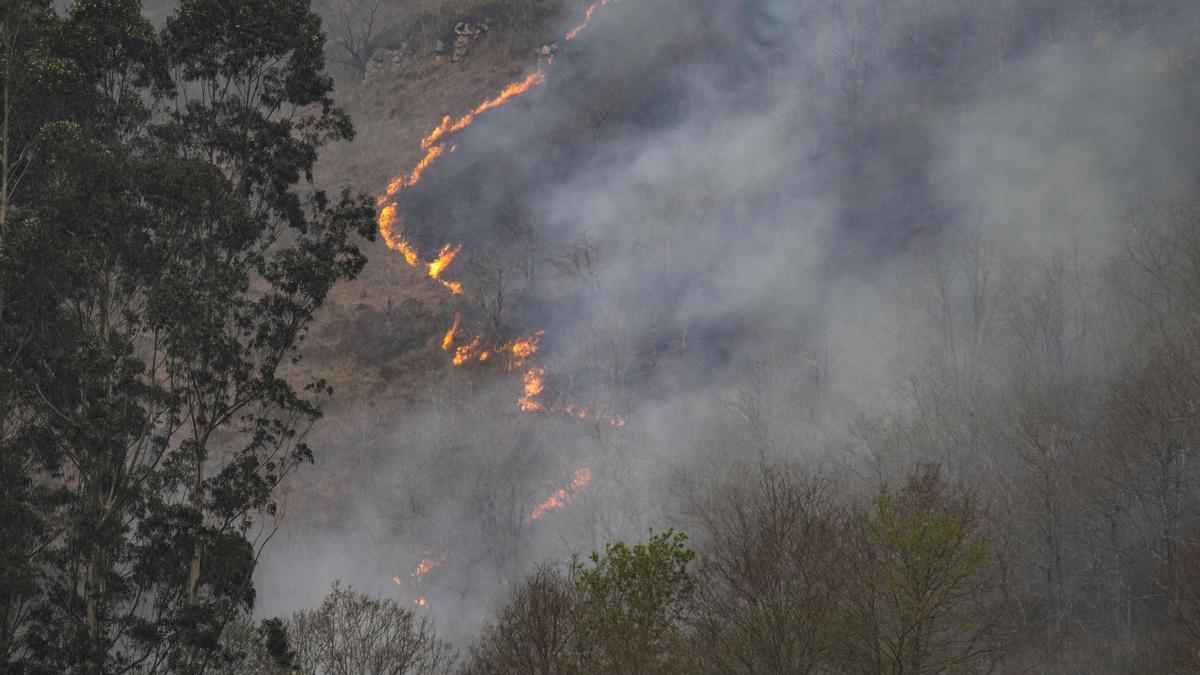 Cantabria activa la fase de preemergencia de su plan contra incendios por "riesgo extremo".