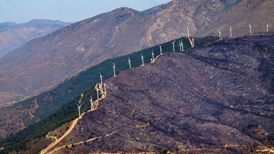 Greenpeace destaca el programa de Unidos Podemos como “el más verde” frente al del PP, “el peor”