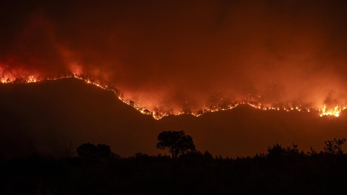 Incendio forestal en Oímbra, en la provincia de Ourense.