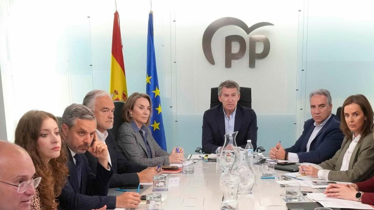 Alberto Núñez Feijóo preside la dirección del PP que exijió una auditoría del sistema ferroviario por las demoras de la linea Madrid-Sevilla provocadas por el robo de cables.iña Madrid-Sevilla provocadas polo roubo de cables.