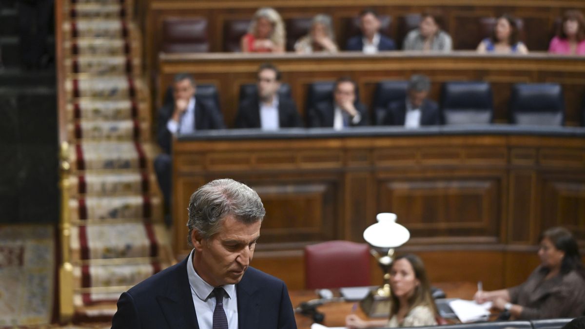 Alberto Núñez Feijóo, en el Congreso.