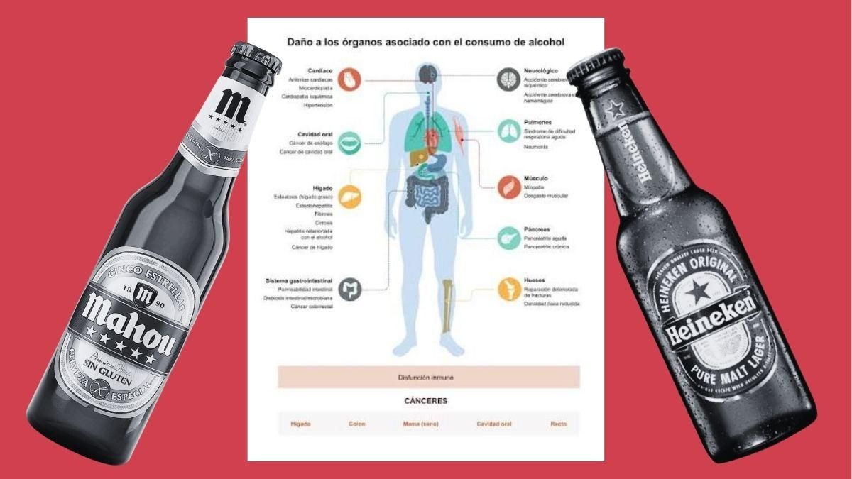 Una cerveza mahou sin gluten y una Heineken tradicional frente a un gráfico de los daños del alcohol en el cuerpo.