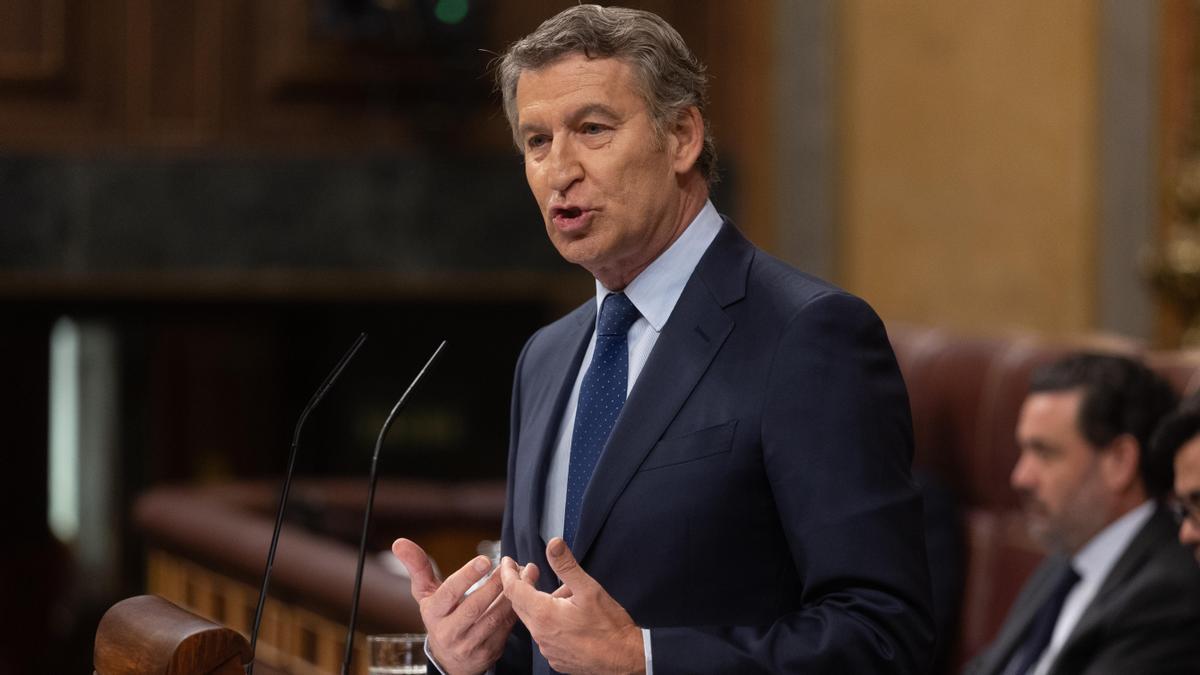 El presidente del PP, Alberto Núñez Feijóo, interviene durante un pleno extraordinario, en el Congreso de los Diputados