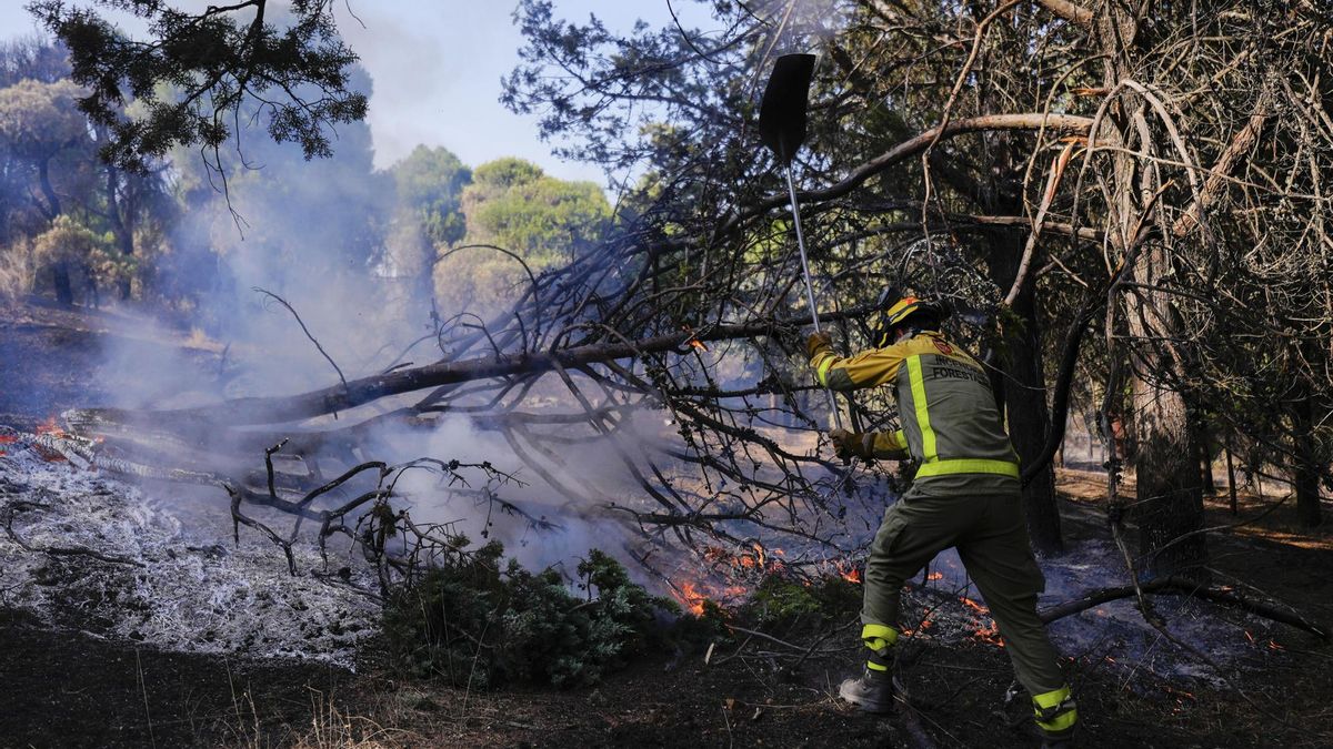 Bomberos trabajan en la zona afectada por el incendio del oeste de la Comunidad de Madrid en la localidad de Pelayos de la Presa.