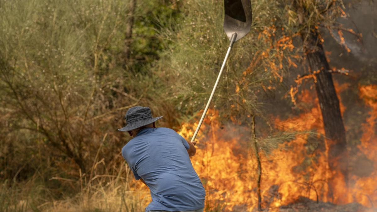 Un vecino trabaja en labores de extinción del incendio forestal de Cualedro (Ourense) este domingo.