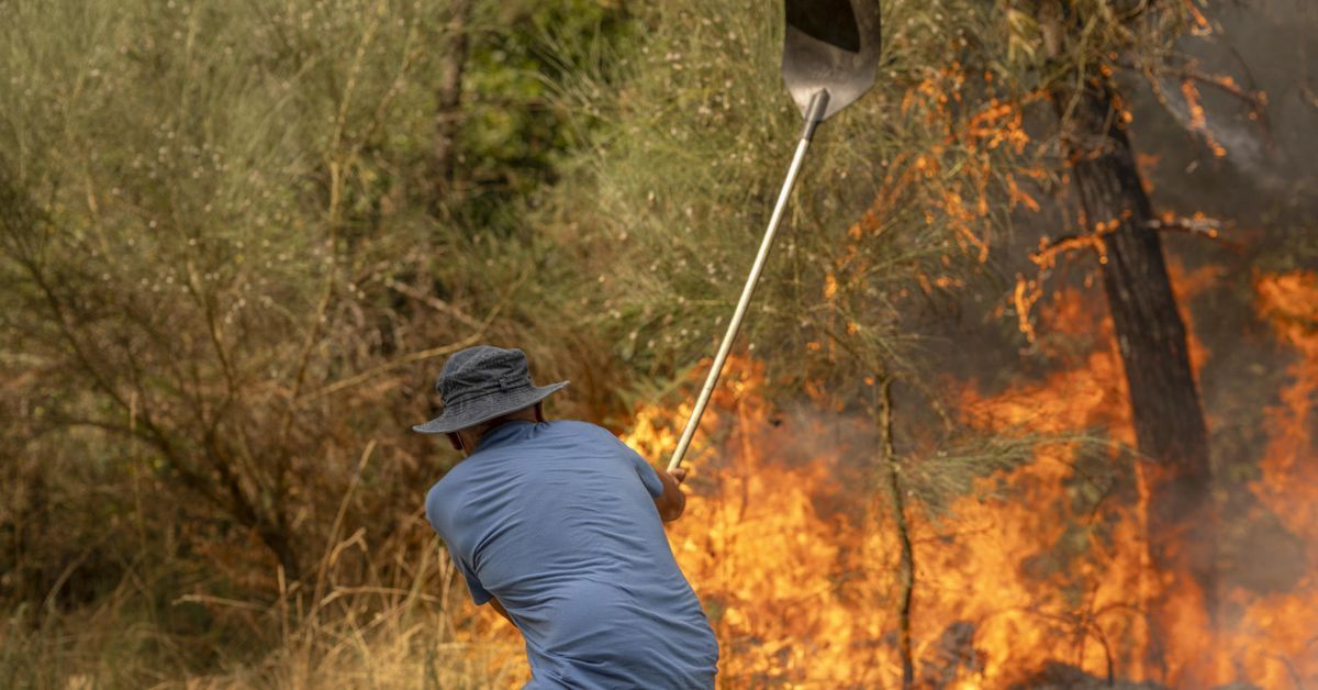 Robles admite que los incendios no podrán controlarse hasta que no bajen las temperaturas