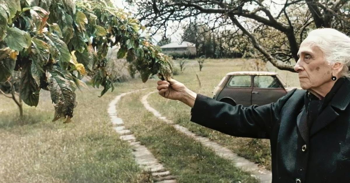 Los cines retumban con el '¡no pasarán!' de Pasionaria: "Hoy nos daría pautas para enfrentar el avance fascista"