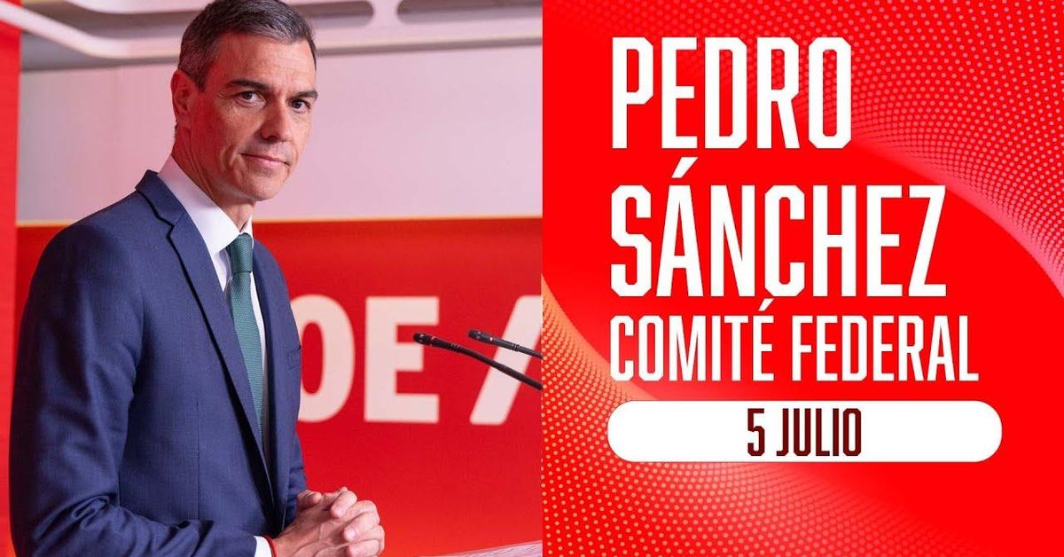 Sigue en directo la comparecencia de Pedro Sánchez en el Comité Federal