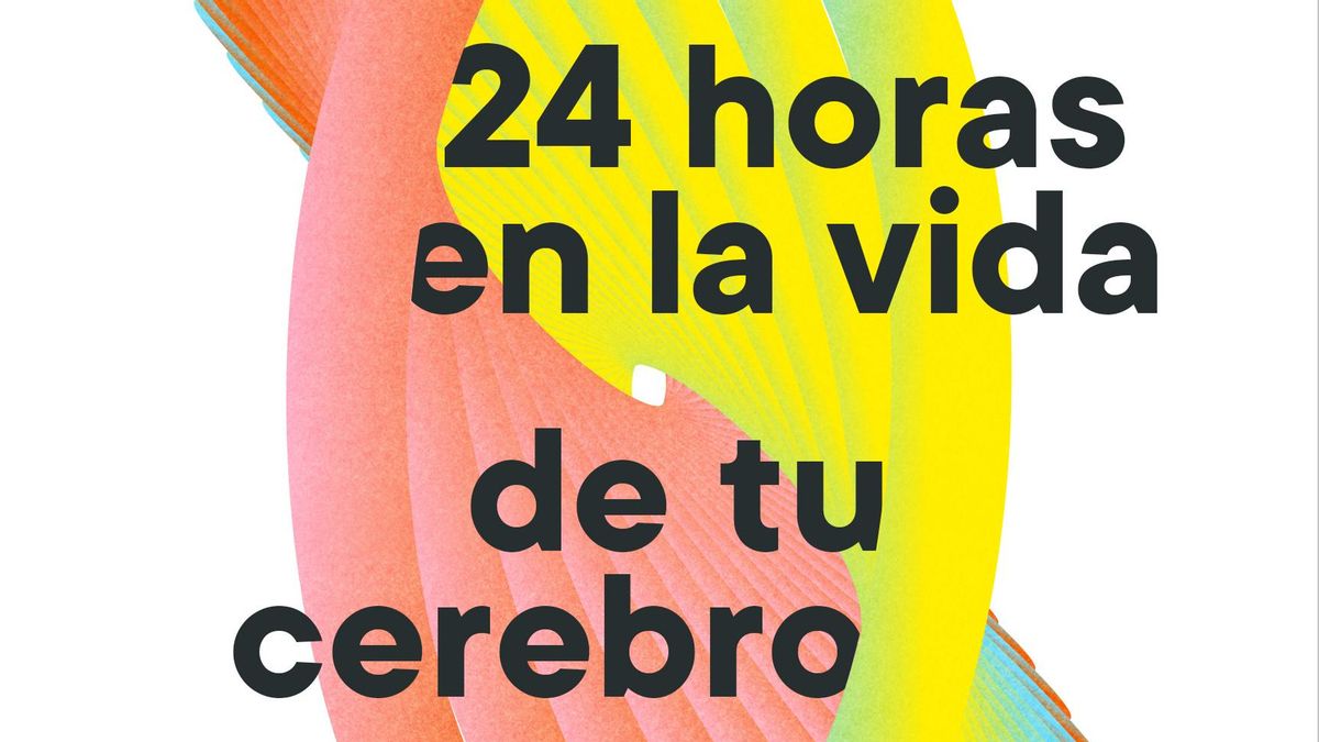 '24 horas en la vida de tu cerebro', de Jesús C. Guillén.