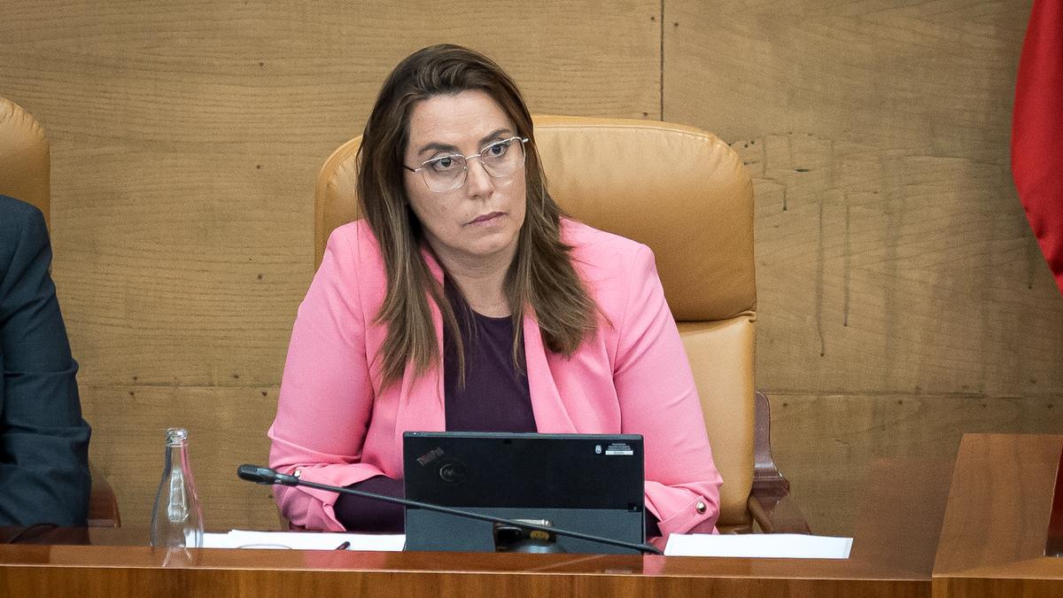 Ana Millán durante un pleno en la Asamblea de Madrid.