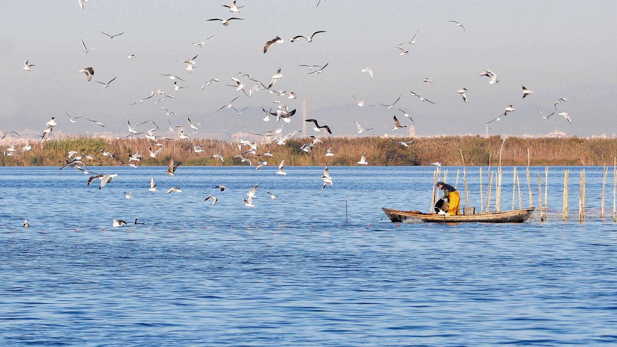 De la Albufera al Cerrón Grande de El Salvador, dos humedales bajo la presión de los agroquímicos