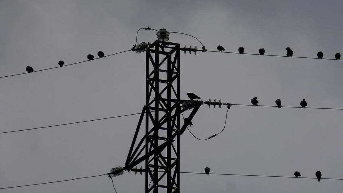 Lecciones aprendidas del gran apagón 2025