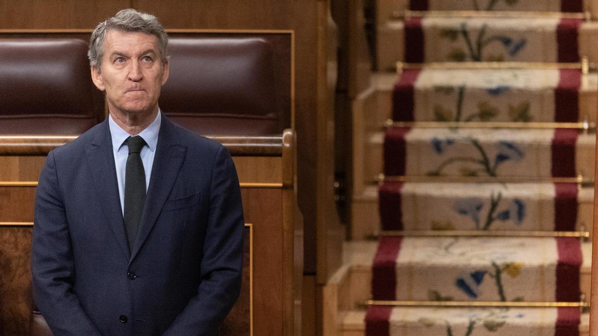 El presidente del PP, Alberto Núñez Feijóo, durante una sesión plenaria extraordinaria en el Congreso de los Diputados.