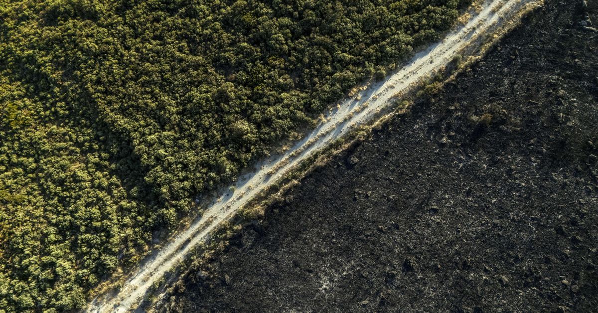 Los ocho incendios que quedan sin extinguir en Galicia siguen controlados