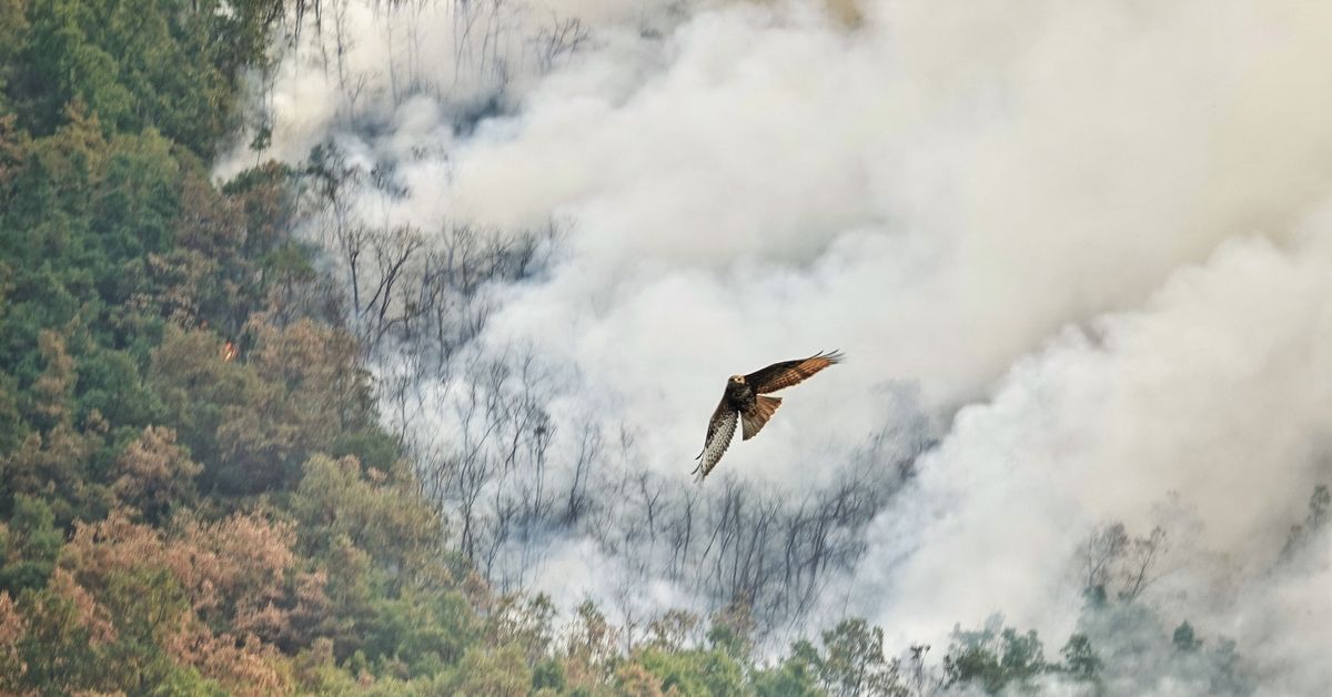 Asturias evacúa seis pueblos ante la gravedad y rapidez del nuevo incendio de Ibias