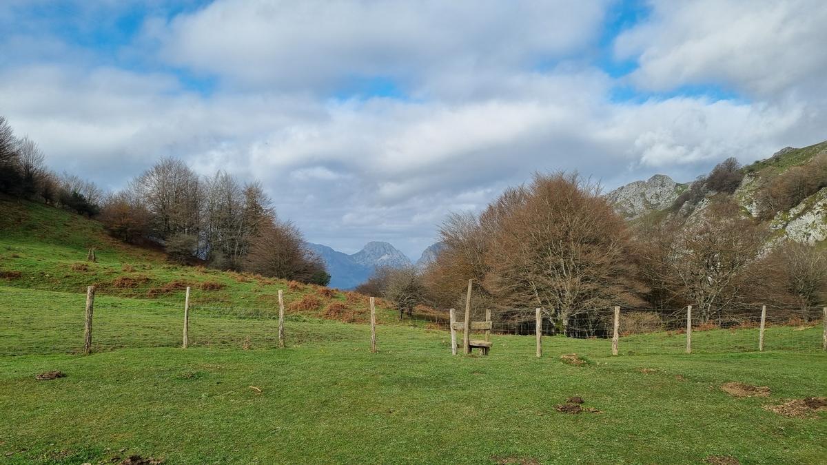 Un bonito prado de intenso color verde.