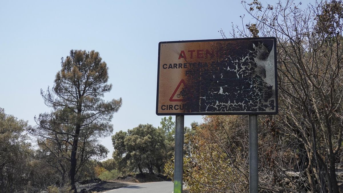 Los incendios de Ávila y Madrid están "técnicamente estabilizados"