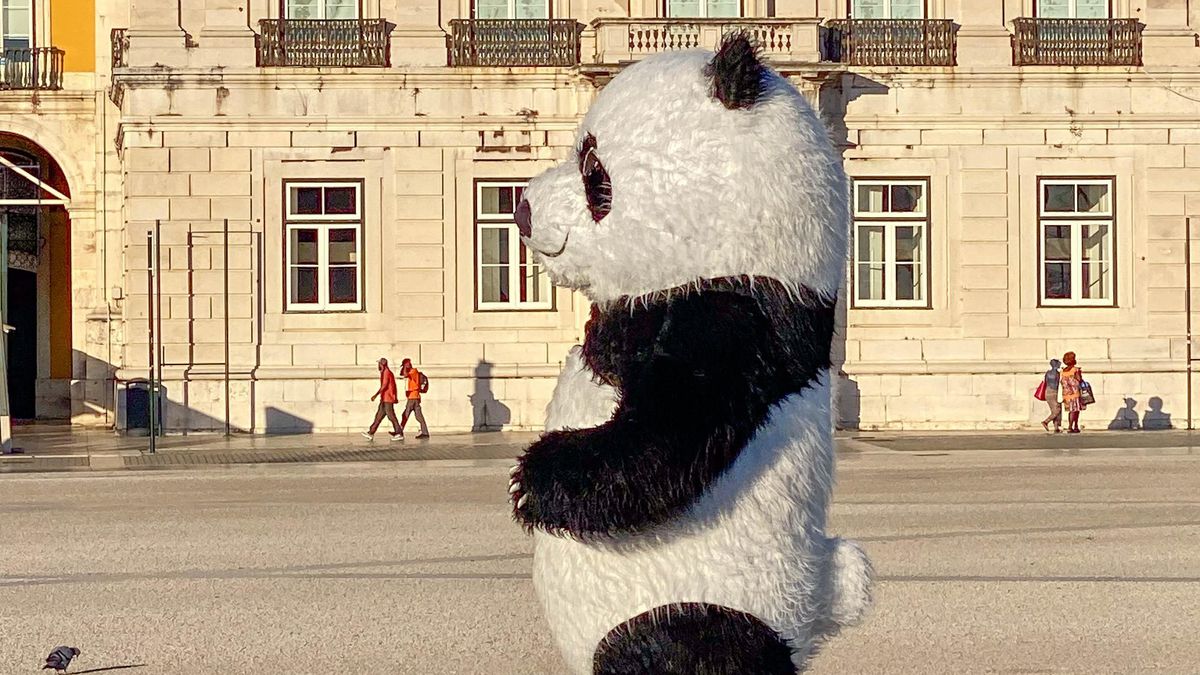 Disfraces sin fiesta en la plaza del Comercio de Lisboa.