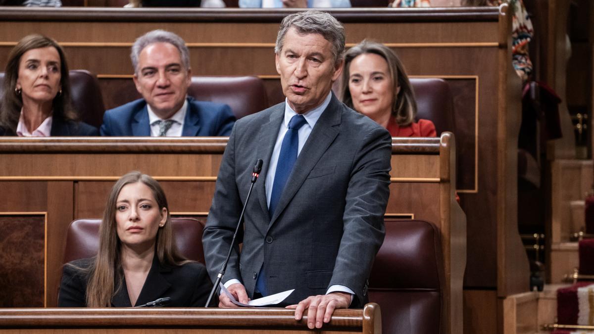 El presidente del PP, Alberto Núñez Feijóo, durante una sesión plenaria en el Congreso