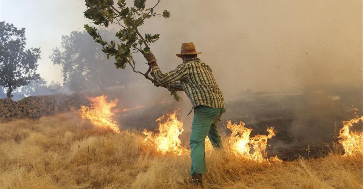 Los incendios no dan tregua: Castilla y León, Extremadura y Galicia siguen en vilo por el fuego