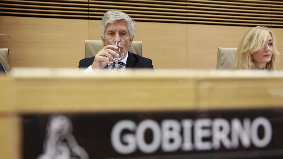 El ministro del Interior, Fernando Grande-Marlaska, compareció este viernes a petición propia en la comisión de Interior del Congreso.