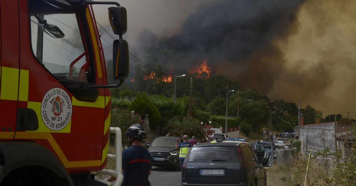 Los incendios de León y Zamora dejan también una docena de heridos, dos ...