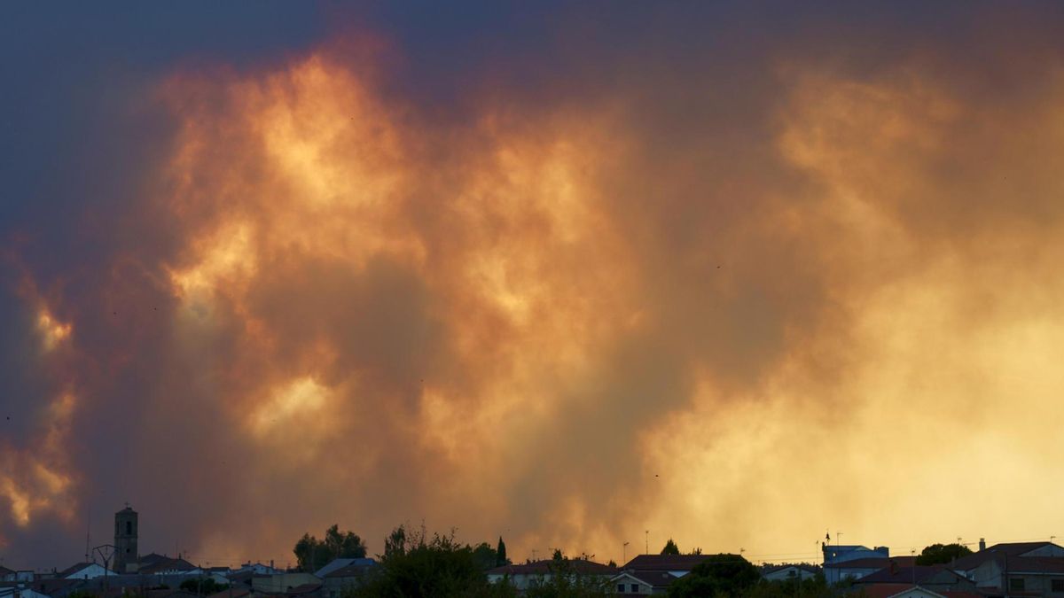 Columnas de humo provocadas por el incendio forestal de Fermoselle (Zamora), este miércoles.