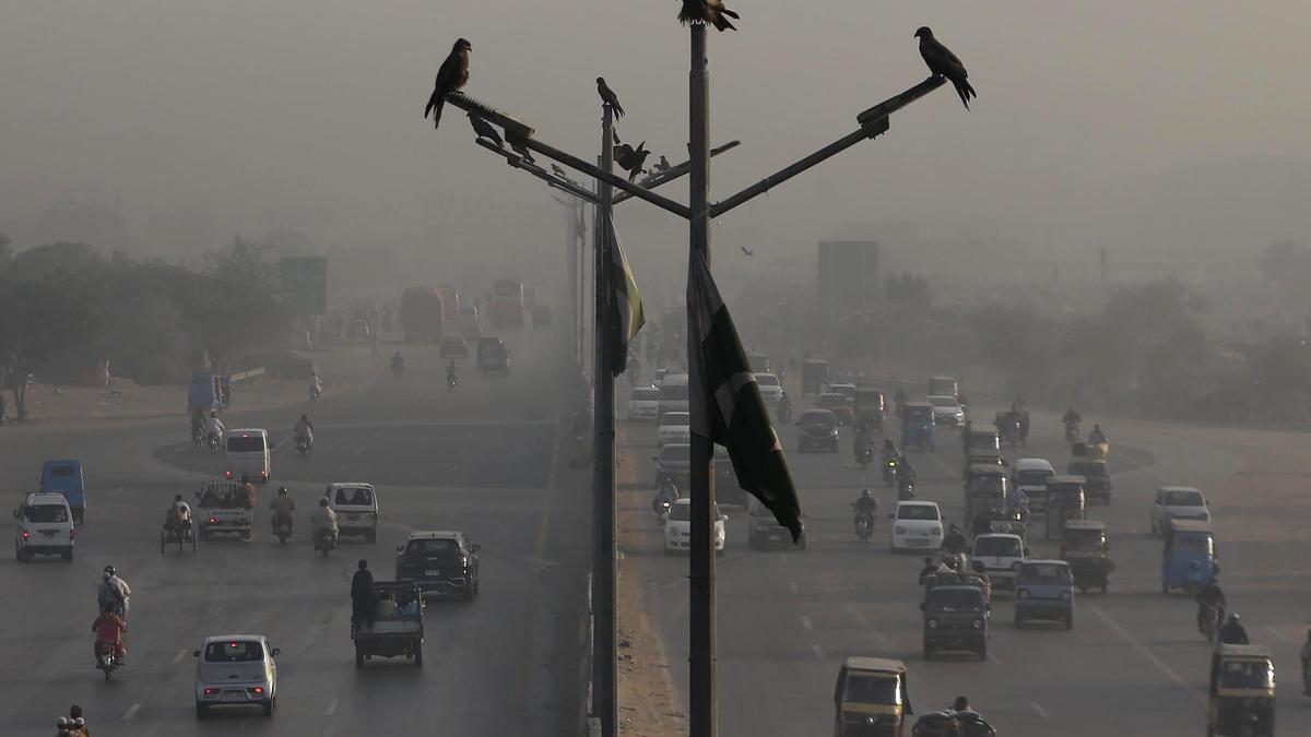 Pájaros posados en un poste de luz mientras los vehículos circulan por una autopista en medio de una densa niebla tóxica en Karachi, capital de la provincia de Sindh, Pakistán, 8 de noviembre de 2025.