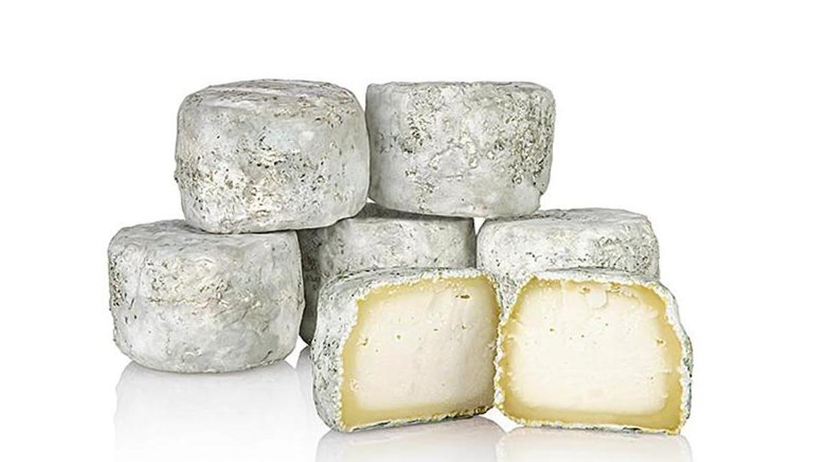 La Aesan alerta de la distribución en Cataluña de un queso francés con 'Escherichia coli'