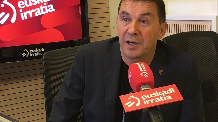 El coordinador general de EH Bildu, Arnaldo Otegi, en una entrevista anterior.