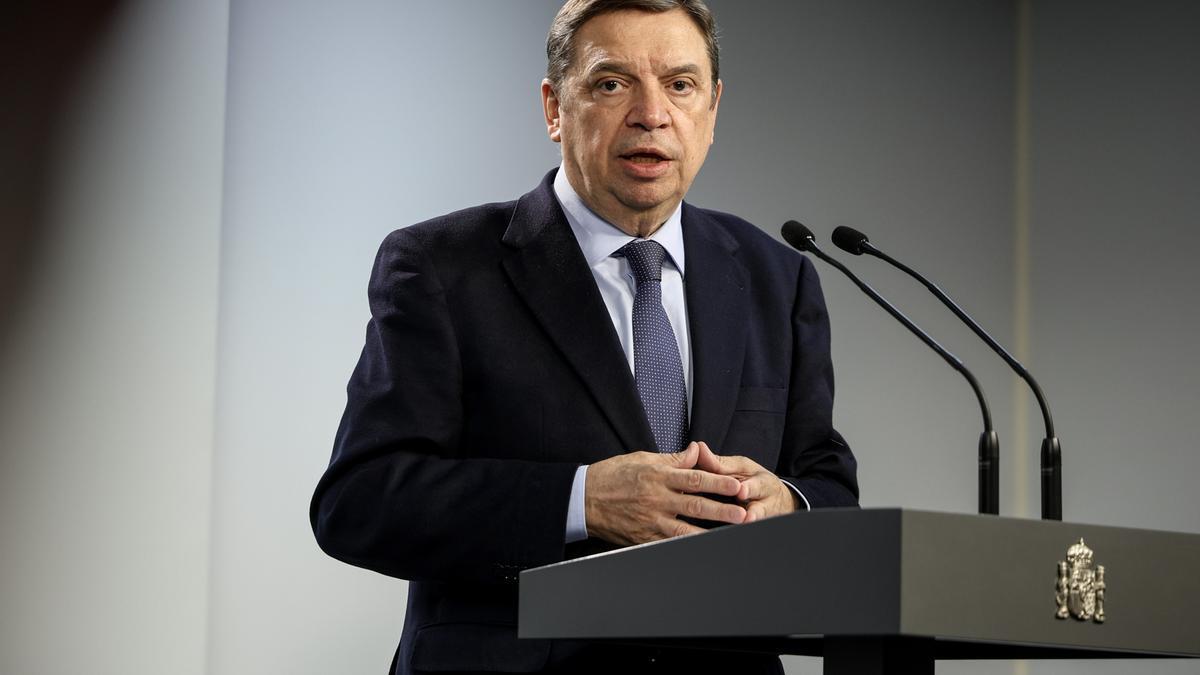 El Gobierno trabaja para limitar el impacto económico por la peste porcina y Cataluña eleva restricciones