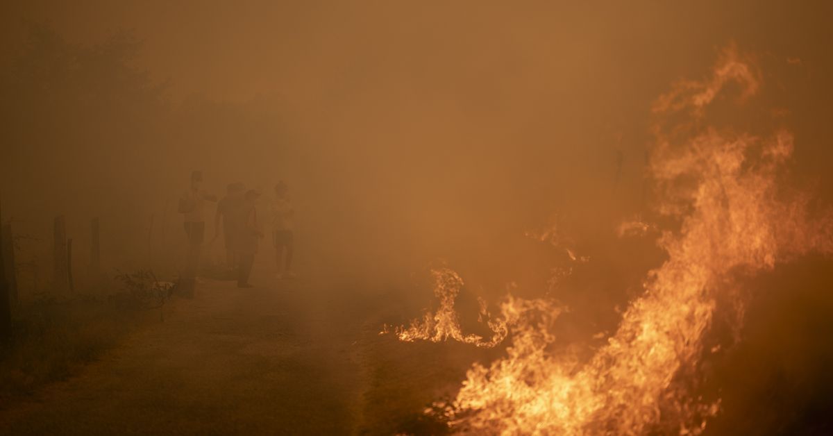 España alcanza casi 350.000 hectáreas quemadas y supera la superficie calcinada durante el peor año