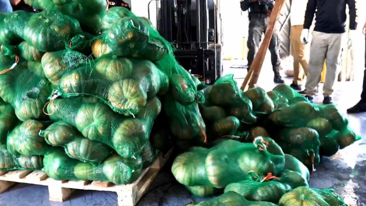 Hallazgo de las calabazas.