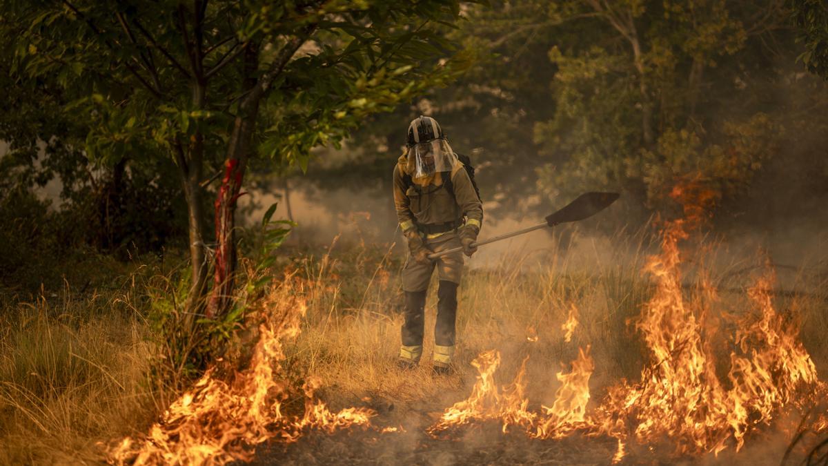 Un bombero forestal realiza labores de extinción en el incendio de A Gudiña (Ourense) en agosto