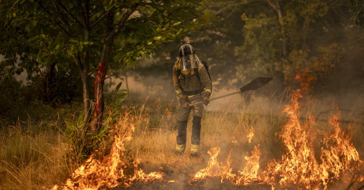 El cambio climático agravó un 30% la ola de calor que desencadenó la racha de incendios de agosto