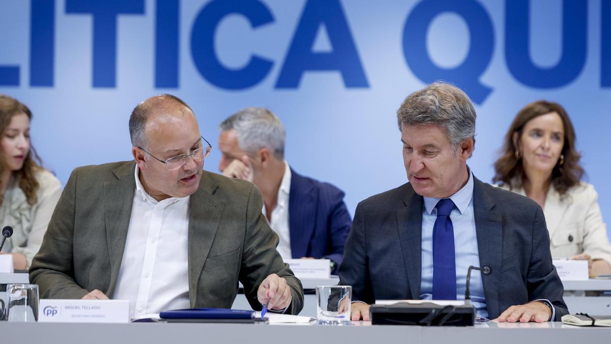 El líder del PP, Alberto Núñez Feijóo (c) junto al secretario general, Miguel Tellado (i) durante la reunión del Comité Ejecutivo Nacional del PP,