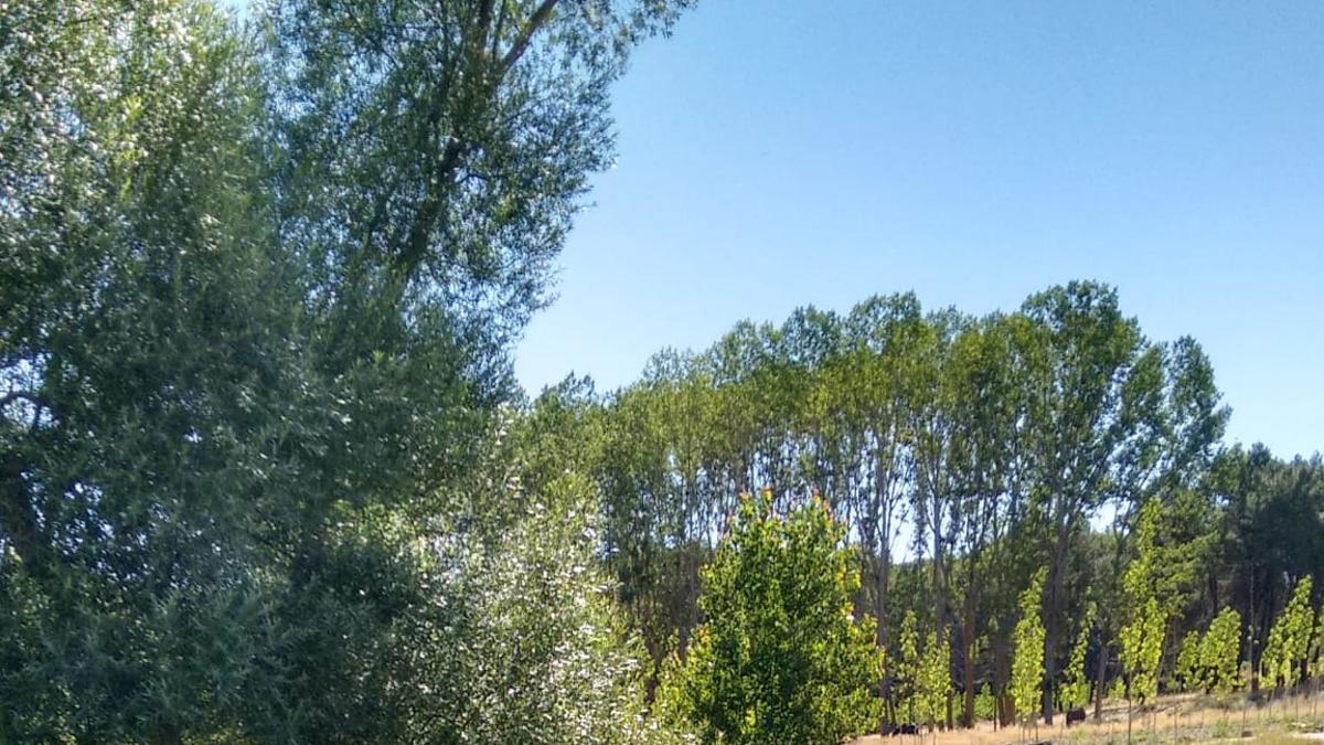 Un verano de ayer en el pueblo, rebosante de flora y fauna entre los ríos Pirón y Eresma