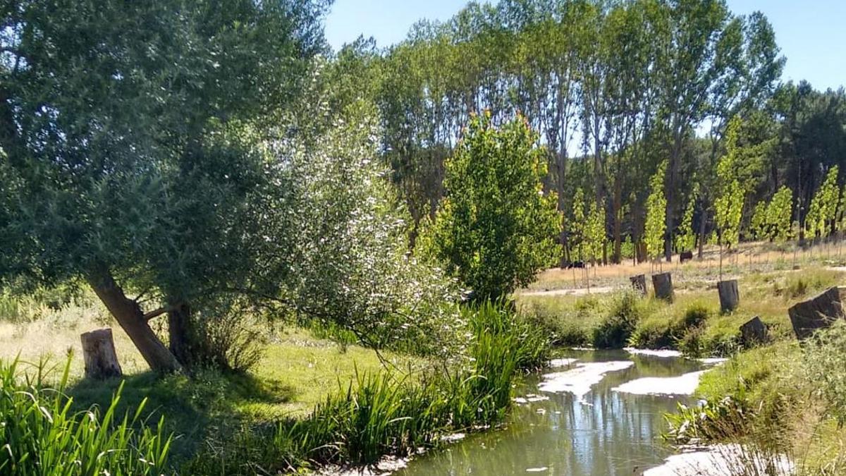 Un verano de ayer en el pueblo