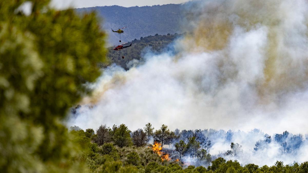Imagen de un incendio forestal declarado durante la Semana Santa.