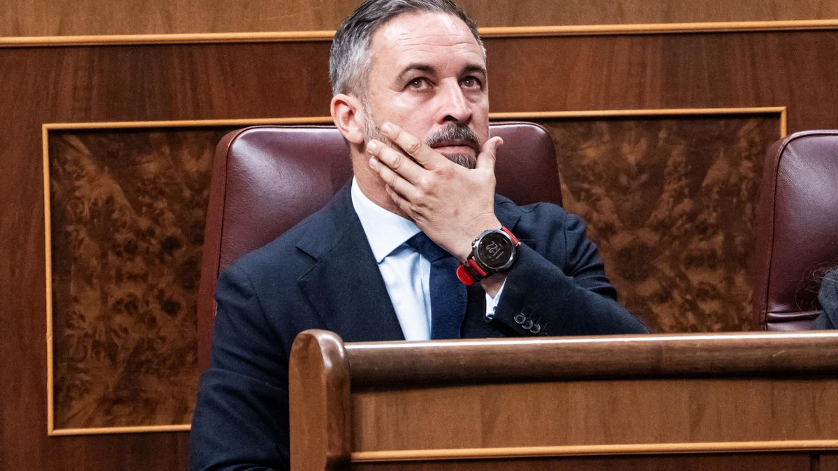 Vox calcula el coste de gobernar en Andalucía: el "marrón" de gestionar frente a presionar desde fuera