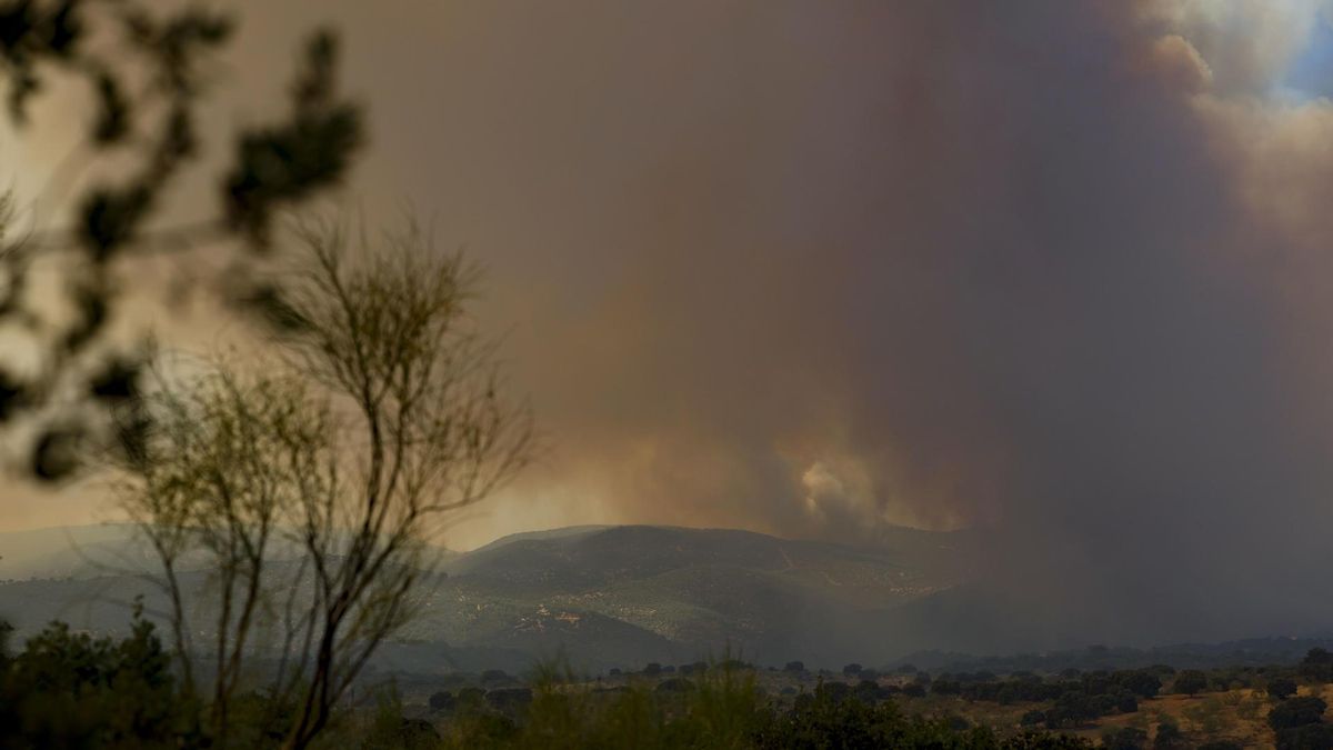 Columna de humo producida por el incendio en la localidad madrileña de Pelayos de la Presa.