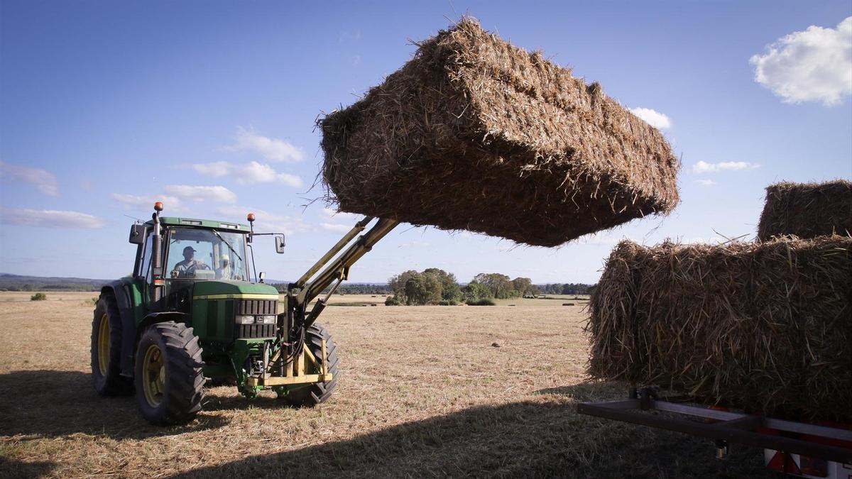 Un tractor durante la recogida de trigo en la parroquia de Calvo, a 31 de julio de 2023, en Abadin, Lugo, Galicia.