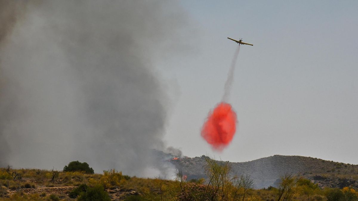 Medios aéreos trabajan en la extinción del incendio forestal declarado en Los Gallardos (Almería).