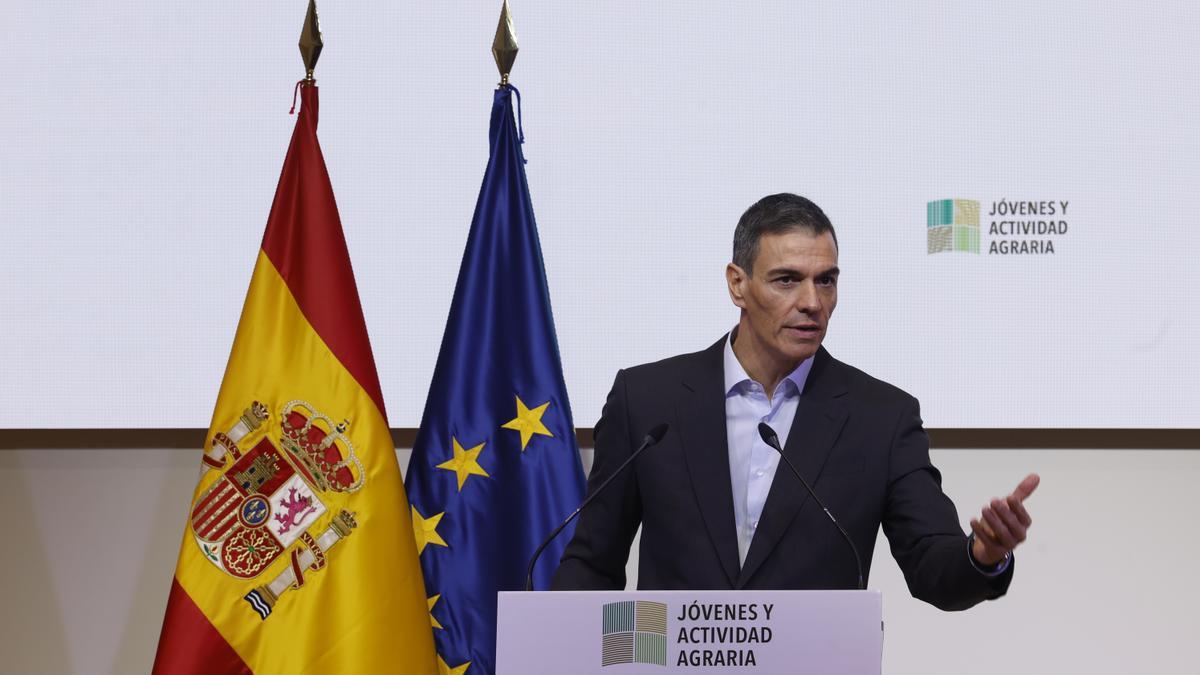 El presidente del Gobierno, Pedro Sánchez.